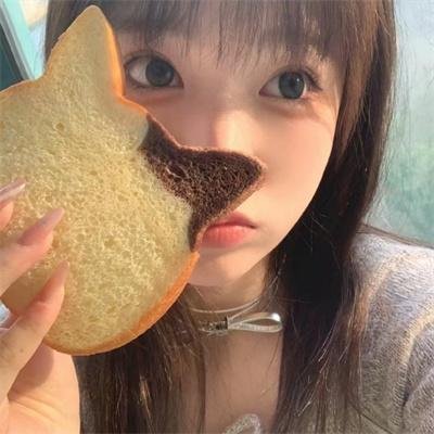 所有的猫都是灰色